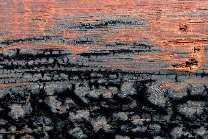Obra del artista argentino Guillermo Jones - Realidades Manchadas - fotografia Toma directa