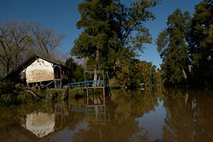 Fotografia. Delta del Parana.