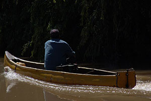 Fotografia. Delta del Parana.