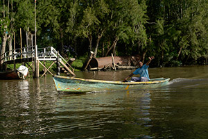 Fotografia. Delta del Parana.