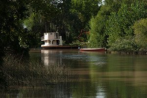 Fotografia. Delta del Parana.