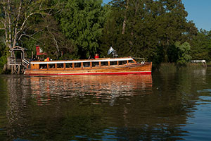 Fotografia. Delta del Parana.