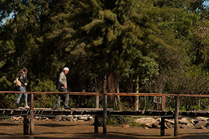 Fotografia. Delta del Parana.